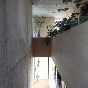 CRISS-CROSS OFIS-14
