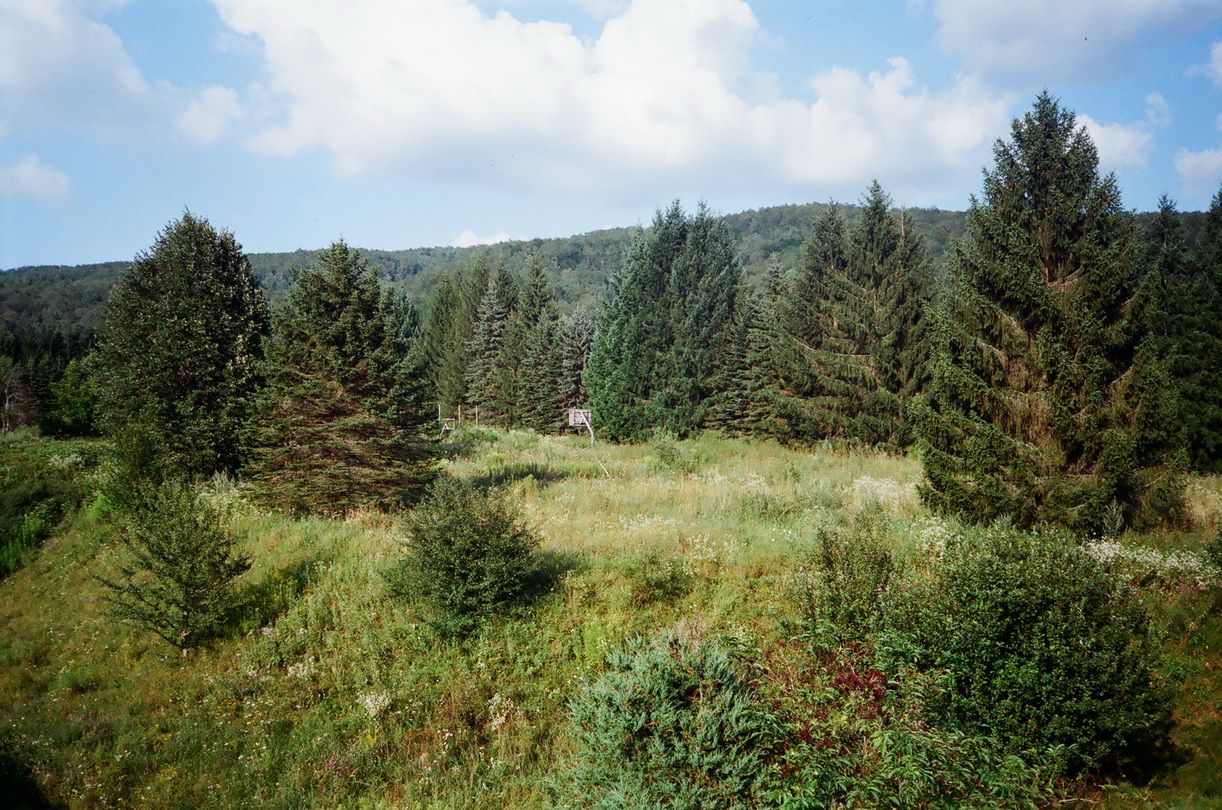 PFnowhere_14_resize