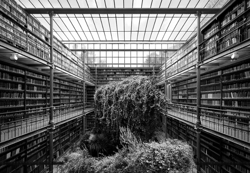 tanja deman - temples of culture