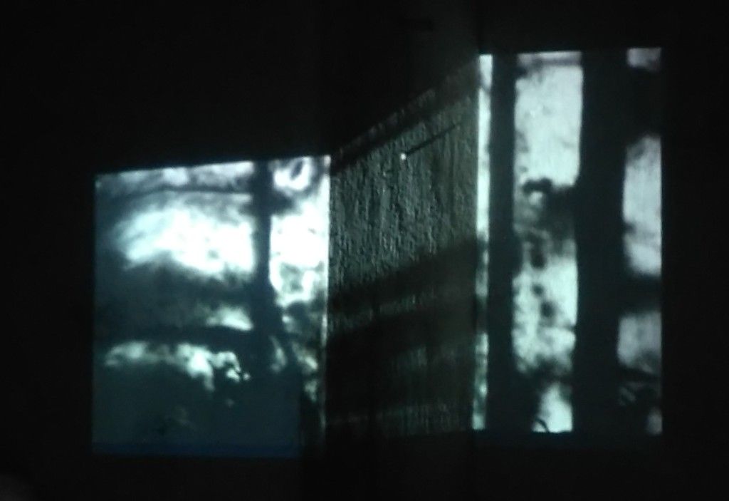 Lea Anic Maxi Zahn videoinstlacija Bez naziva