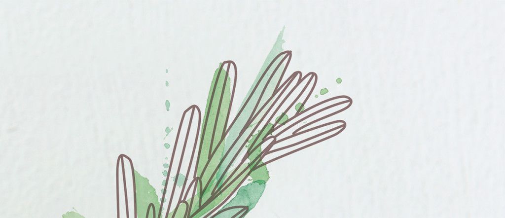 AMsoaps-detailILUSTRATION