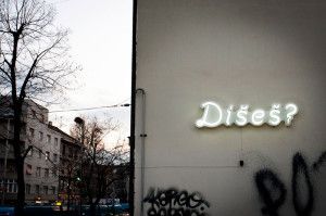 Dises_2011_02