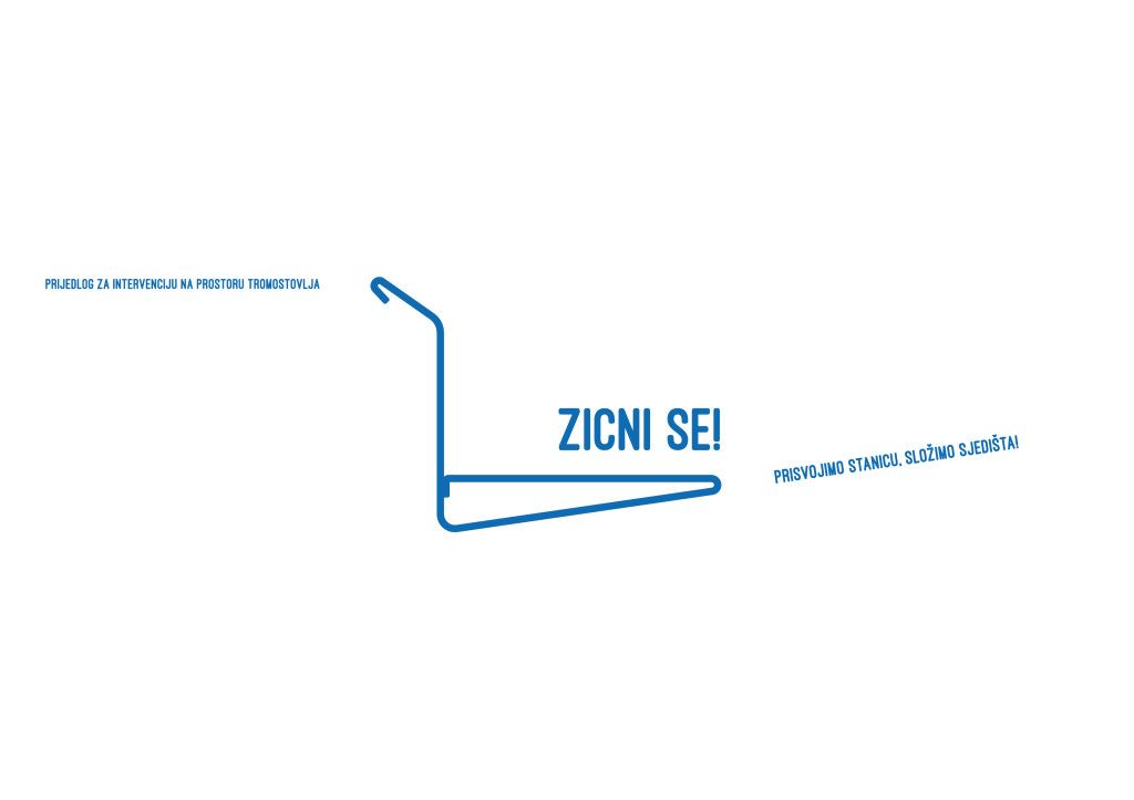 ZICNIse-01
