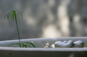 oneness06-1030x686