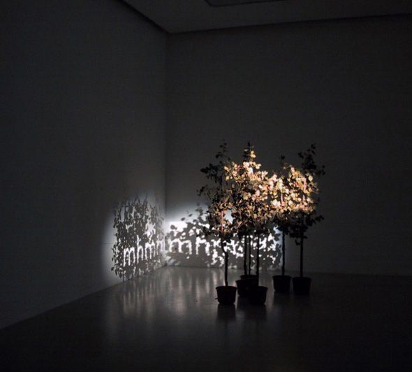 Fred-Eerdekens-Tree1
