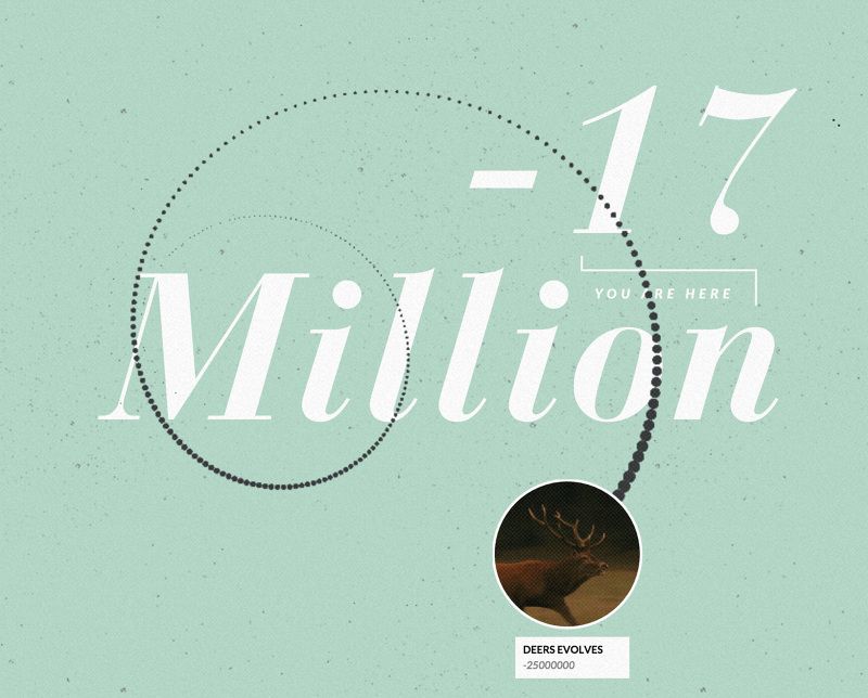 Histography_Matan Stauber1