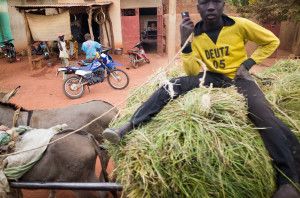 084-201511-MALI-STREET-BAMAKO-GAO-MOPTI-EAST-AFRICA