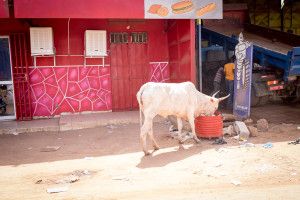 085-201511-MALI-STREET-BAMAKO-GAO-MOPTI-EAST-AFRICA