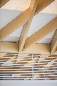 _MG_3542