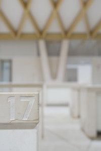 _MG_3764