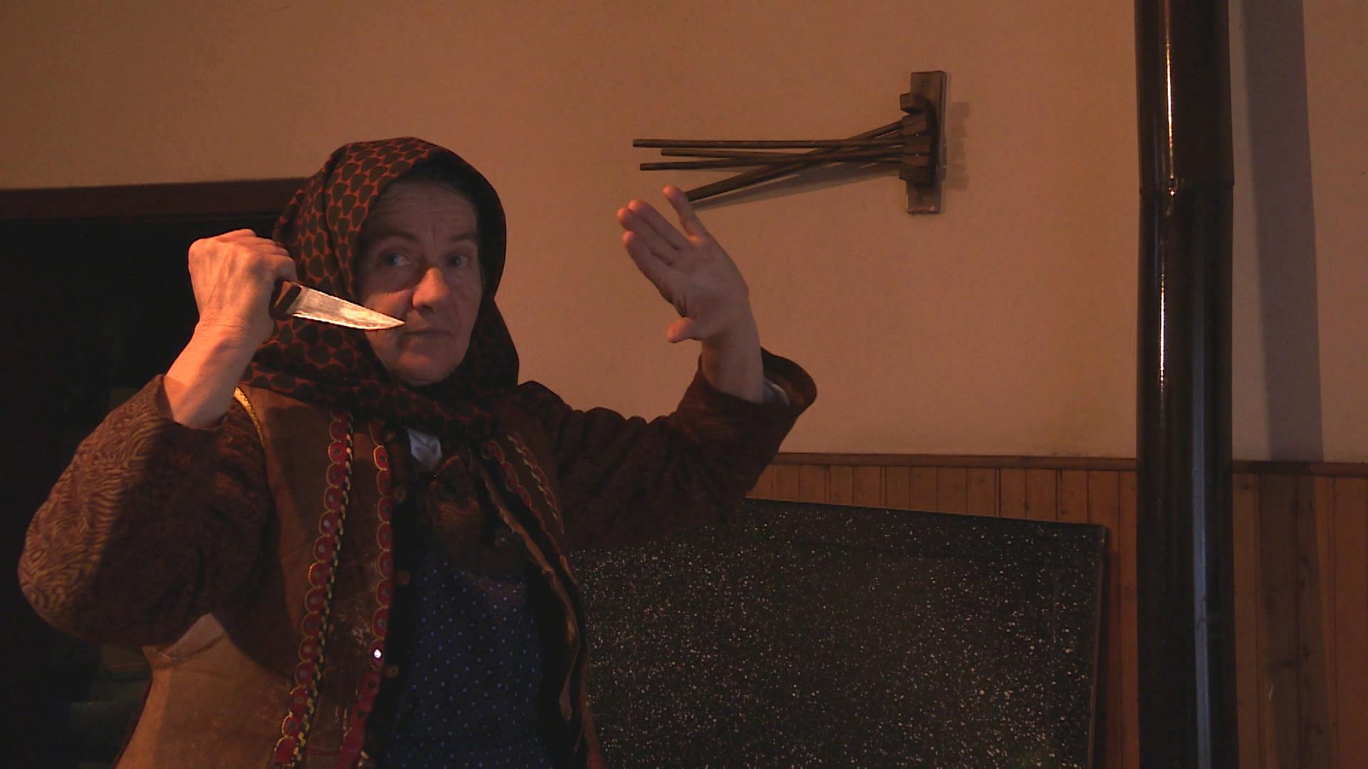 Kratki obiteljski film