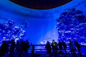 great-barrier-reef-panometer-leipzig-designboom-08