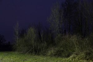 7_1