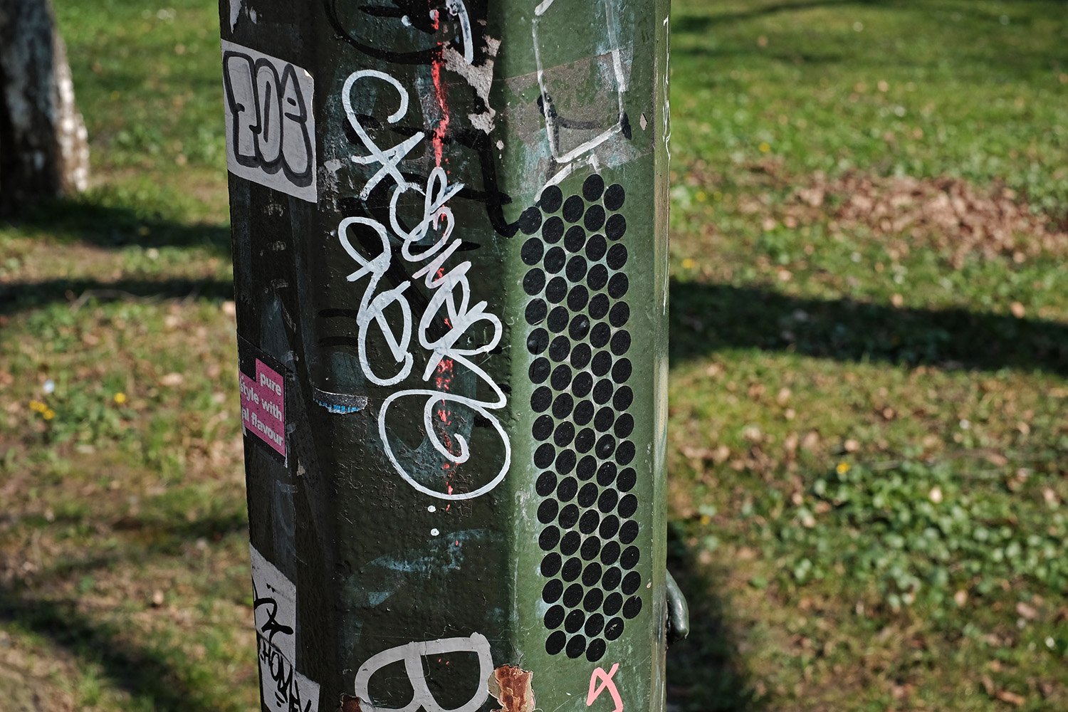 DSCF3815