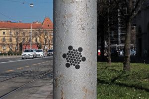 DSCF3920