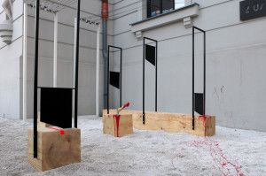 IMG_9241