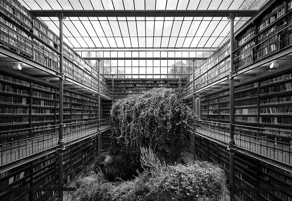 Tanja Deman - Museum Library