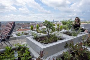 DSCF6592