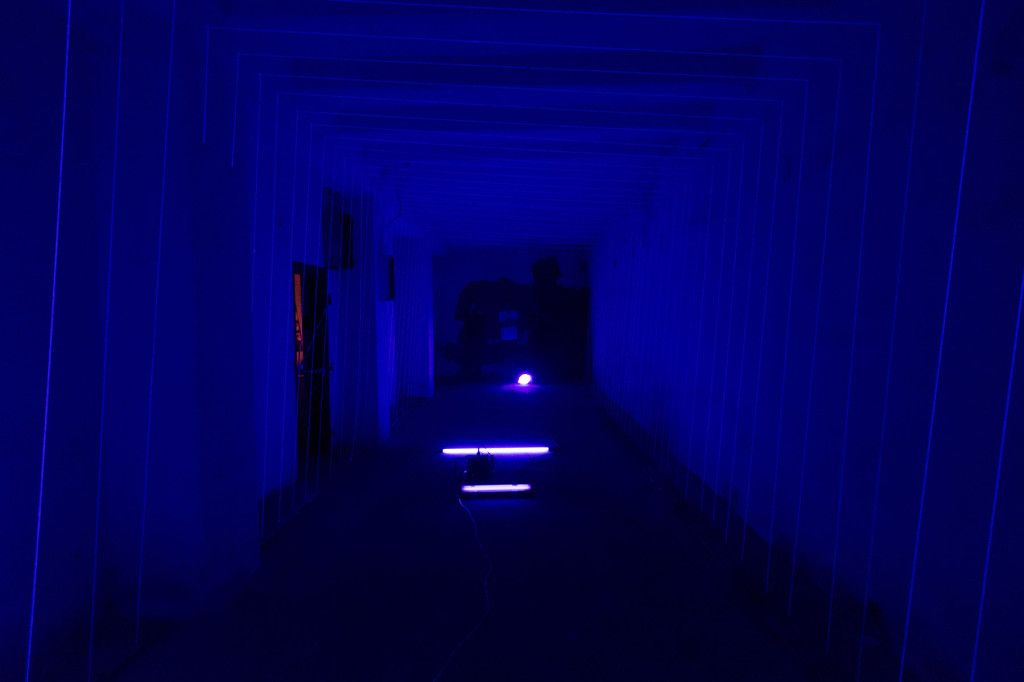 DSCF6933