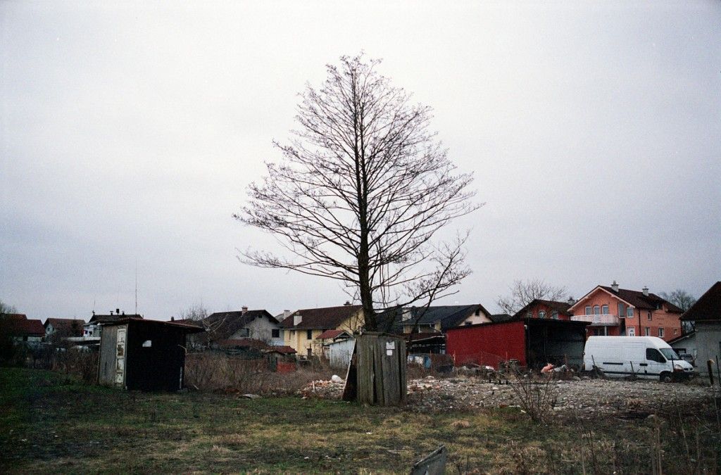 NMNS_08