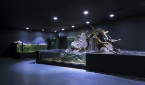 3lhd_224_karlovac_aquarium_photo_by_jure_zivkovic_08