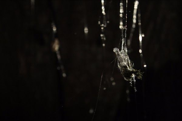 unnamed-4