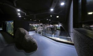 3lhd_224_karlovac_aquarium_photo_by_jure_zivkovic_14