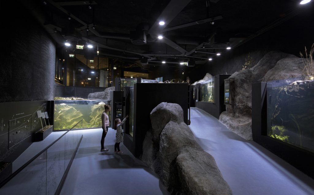 3lhd_224_karlovac_aquarium_photo_by_jure_zivkovic_16