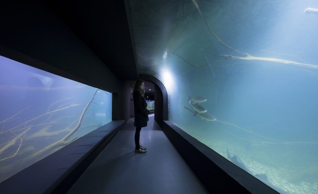 3lhd_224_karlovac_aquarium_photo_by_jure_zivkovic_22