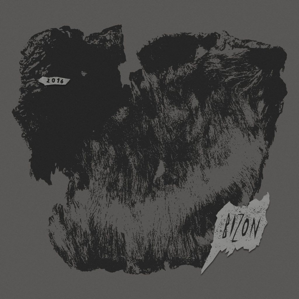 03_bizon