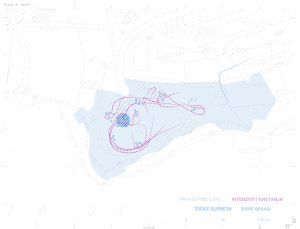 5-split-cruising_final_artboard-15