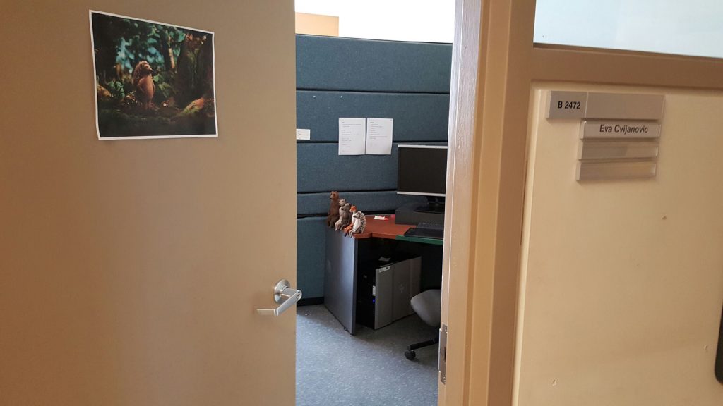 eva_nfb-office