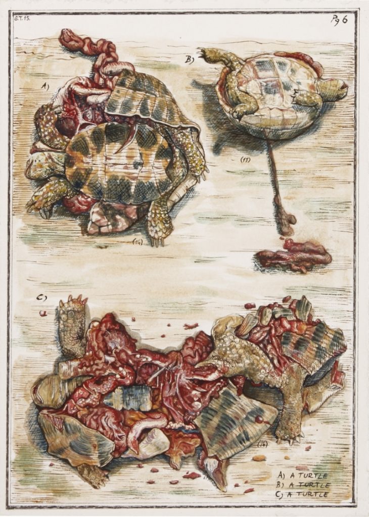 141