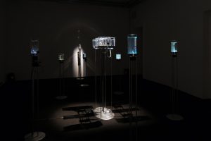 time-displacement-chemobrionic-garden-by-robertina-sebjanic-ales-hieng-zergon-ida-hirsenfelder-photo-by-katra-petricek-014