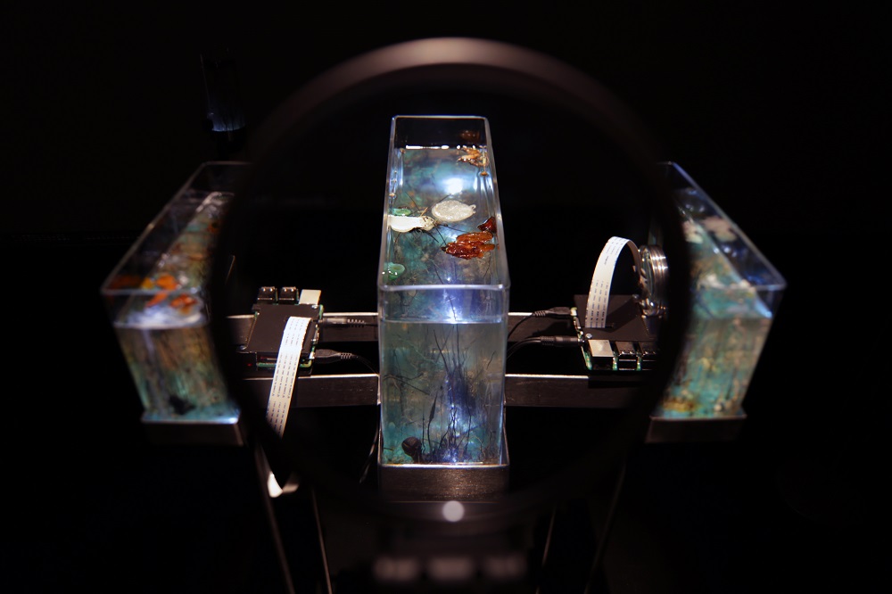time-displacement-chemobrionic-garden-by-robertina-sebjanic-ales-hieng-zergon-ida-hirsenfelder-photo-by-katra-petricek-00001
