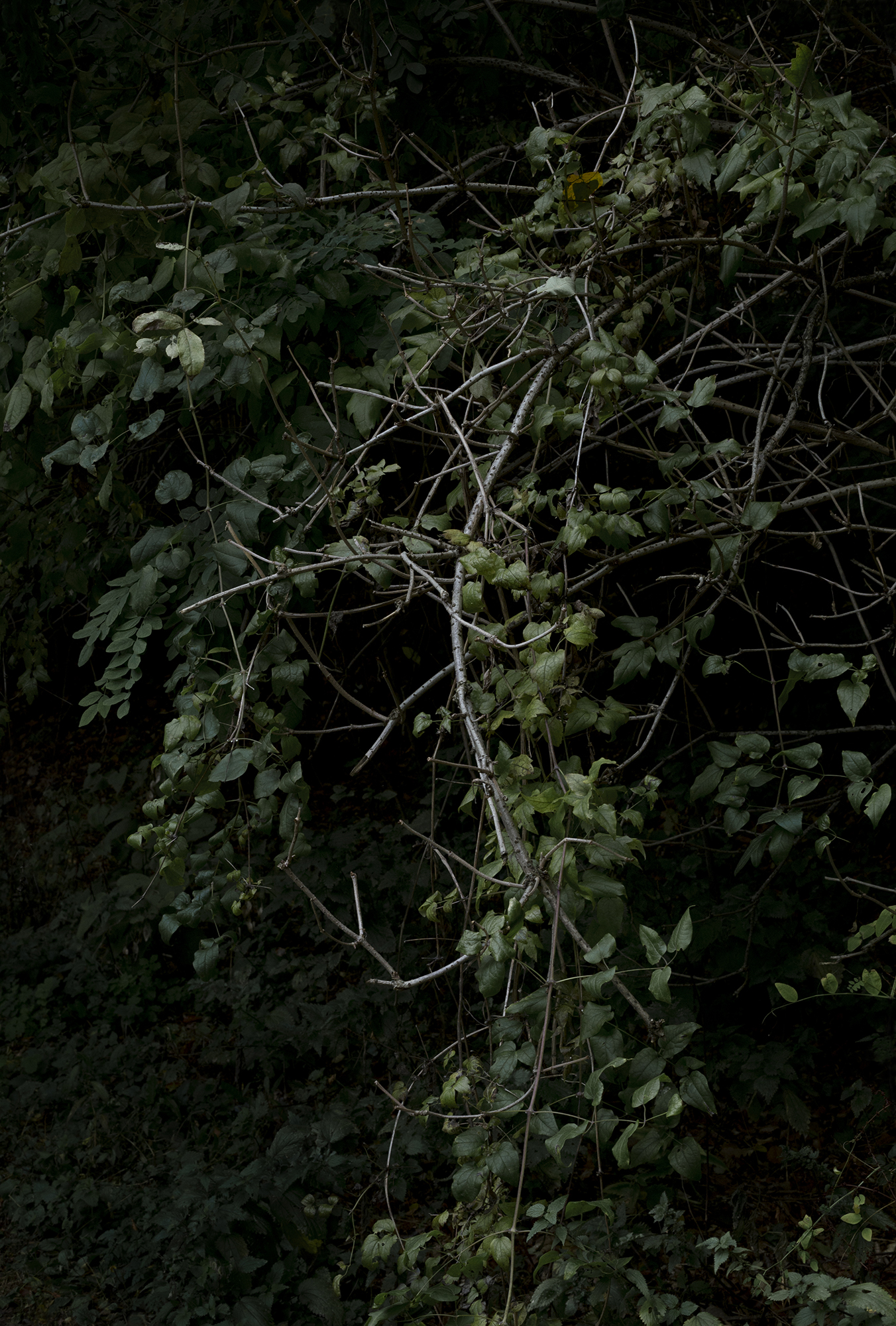 field-notes1