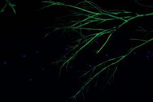 img_2769