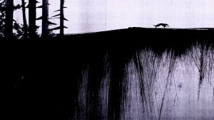 crvenkapica-redux-1