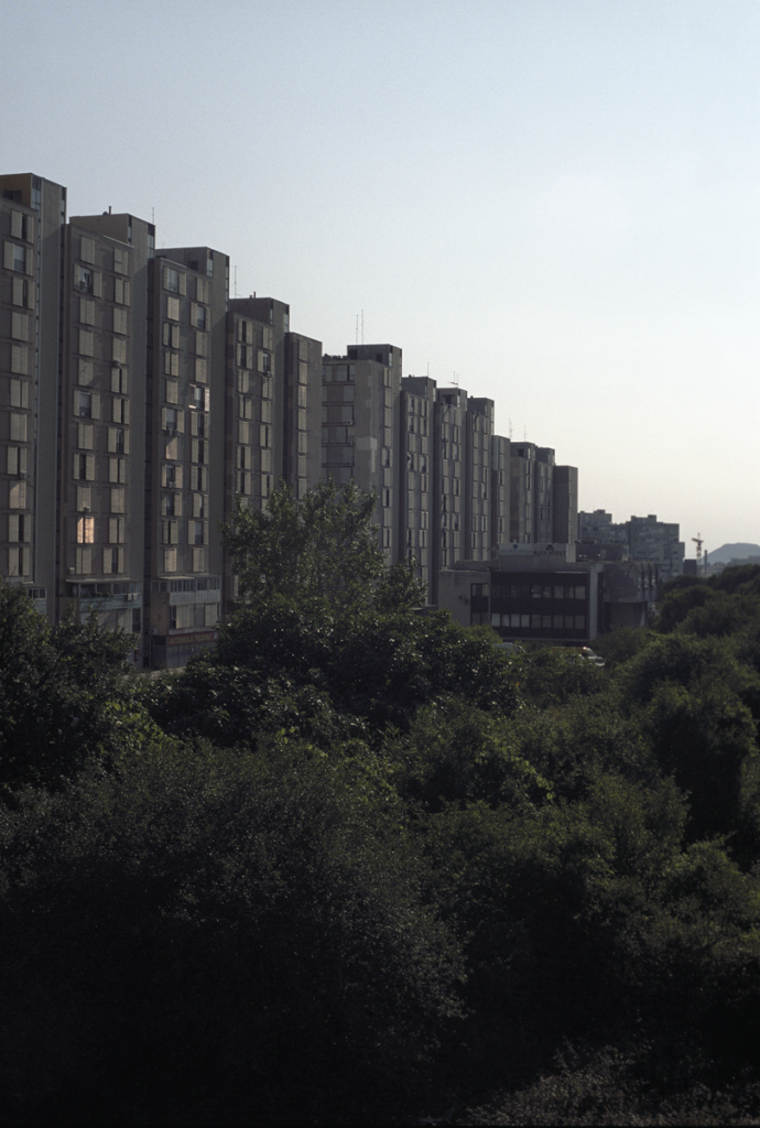 kolac_016