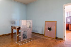 _mg_0815