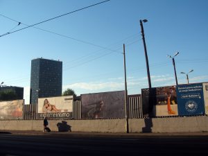marko-markovic_nacionalist