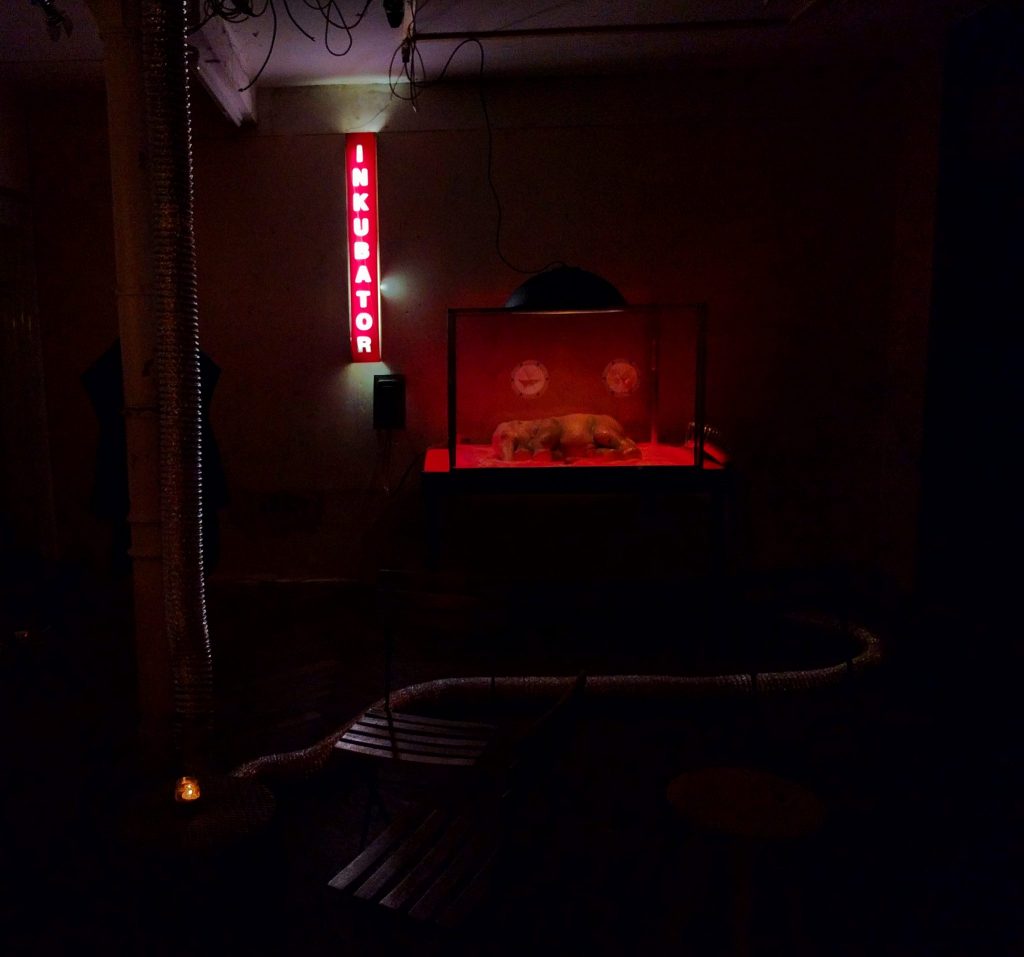 incubator