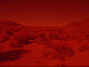 025-sunset-red-laida-lertxundi-_02
