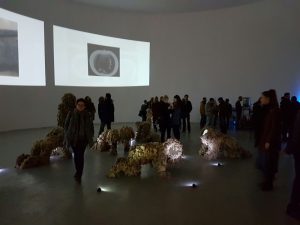 img_9319