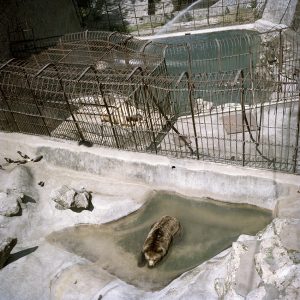 17_bg_serbia