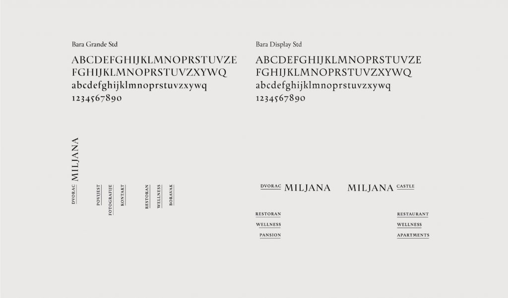 biz-miljana-030220173