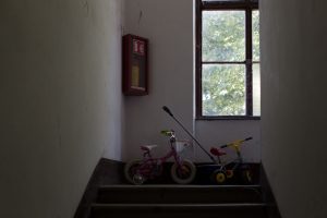 adzijina11_006