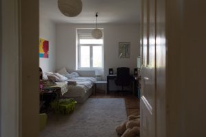 adzijina11_008