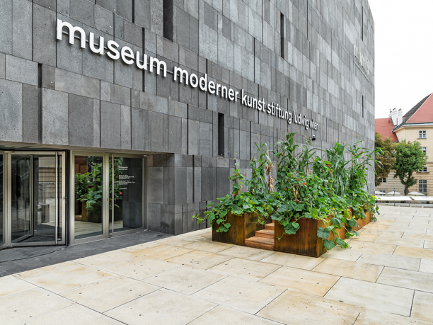 ausstellungsansicht_2017_naturgeschichten_drei_schwester_korridor_1