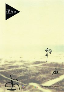 posterviz